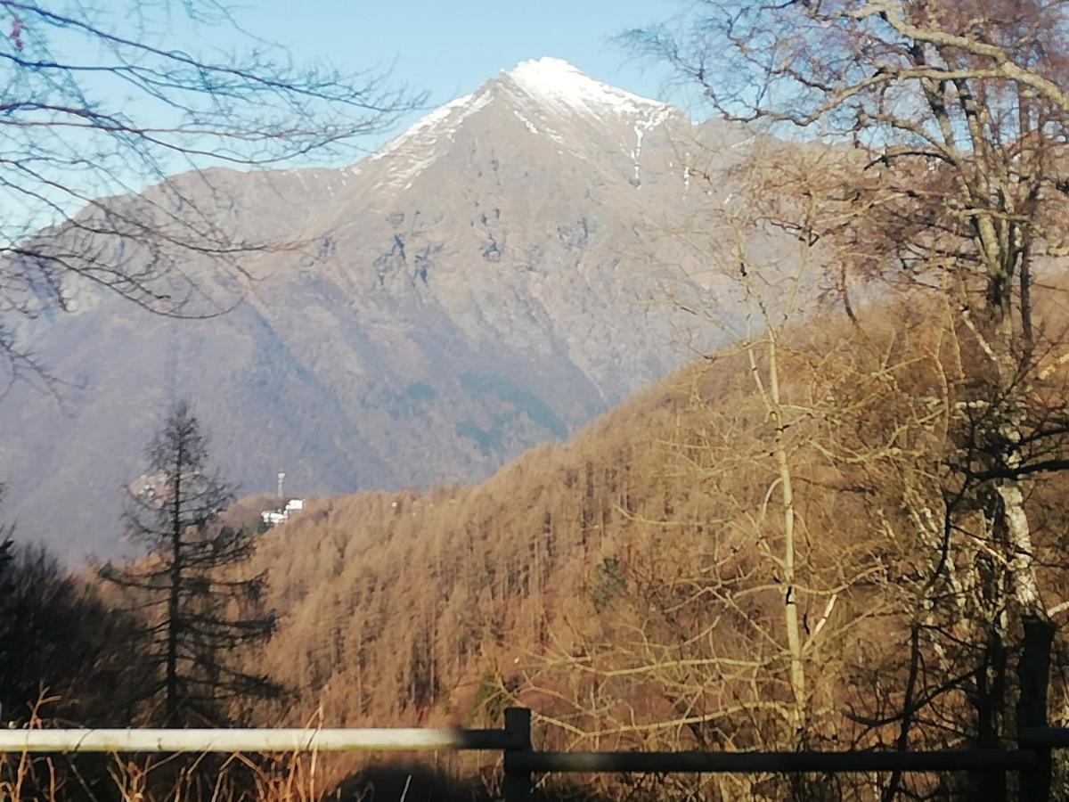 La Capanna Apartment Margno Bagian luar foto